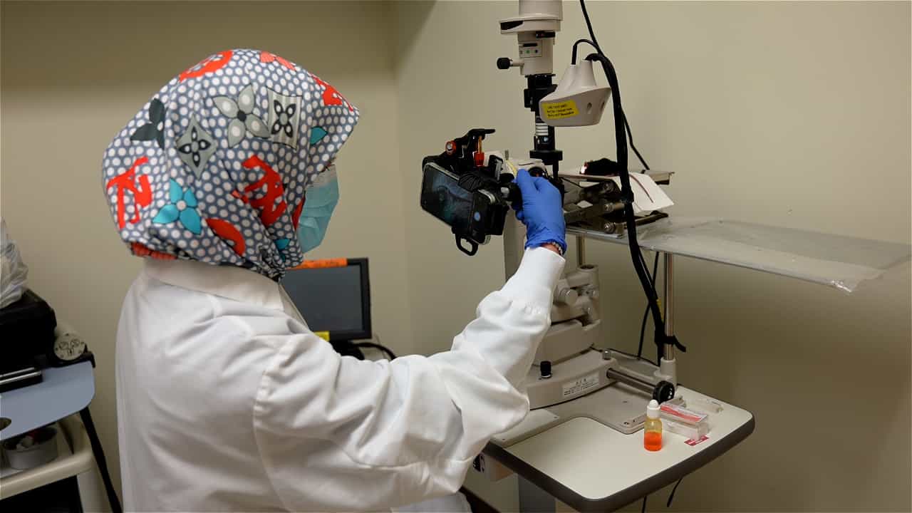 Corneal and Limbal Alkali Injury Induction Using a Punch-Trephine Technique in a Mouse Model