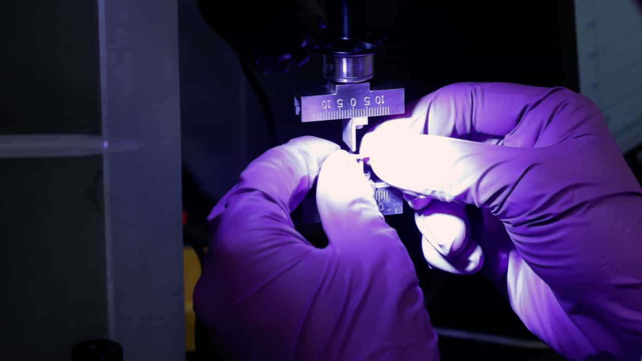 Practical Considerations for the Design, Execution, and Interpretation of Studies Involving Whole-Bone Bending Tests of Rodent Bones