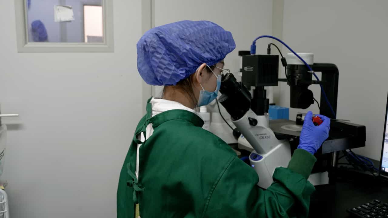 Author Spotlight: Optimizing iPSC Differentiation for Efficient Production to Generate Kidney Organoids
