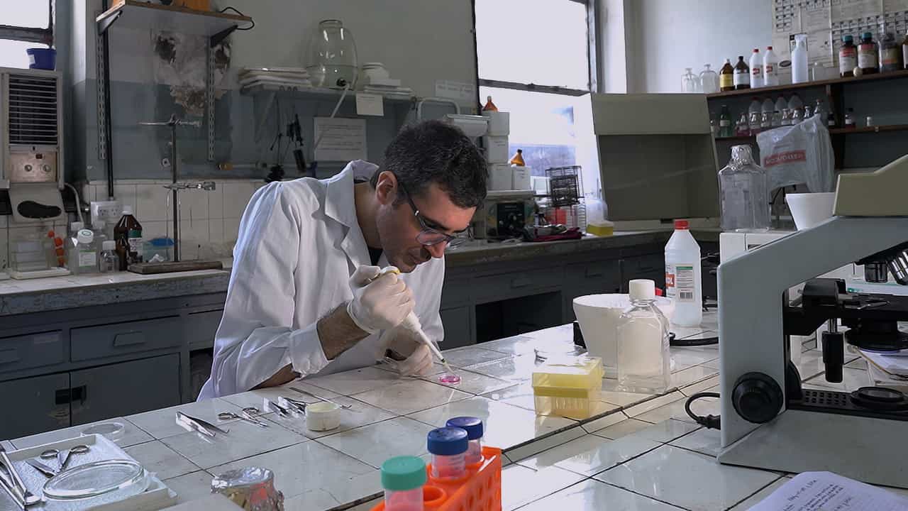 Author Spotlight: Optimizing the Neurovascular Development of Human Brain Organoid in Chick Embryo