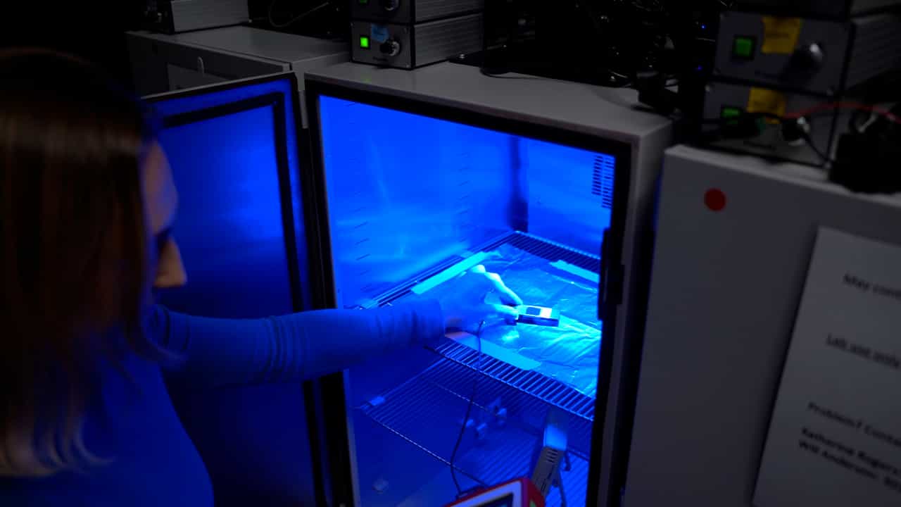 Author Spotlight: Manipulating Signaling in Zebrafish Embryos to Decode Cell Fate Decisions