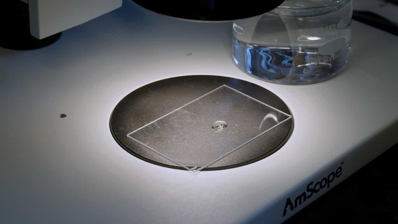 Author Spotlight: Using the Split Retina Technique for Enhanced Access and Accelerated Experiments