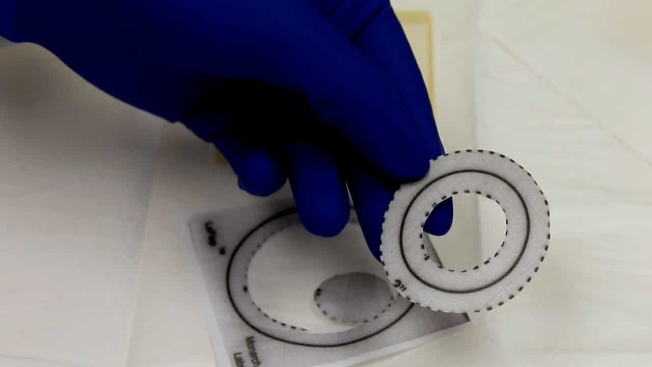 A Model for Experimental Exposure of Humans to Larval Ixodes scapularis Ticks
