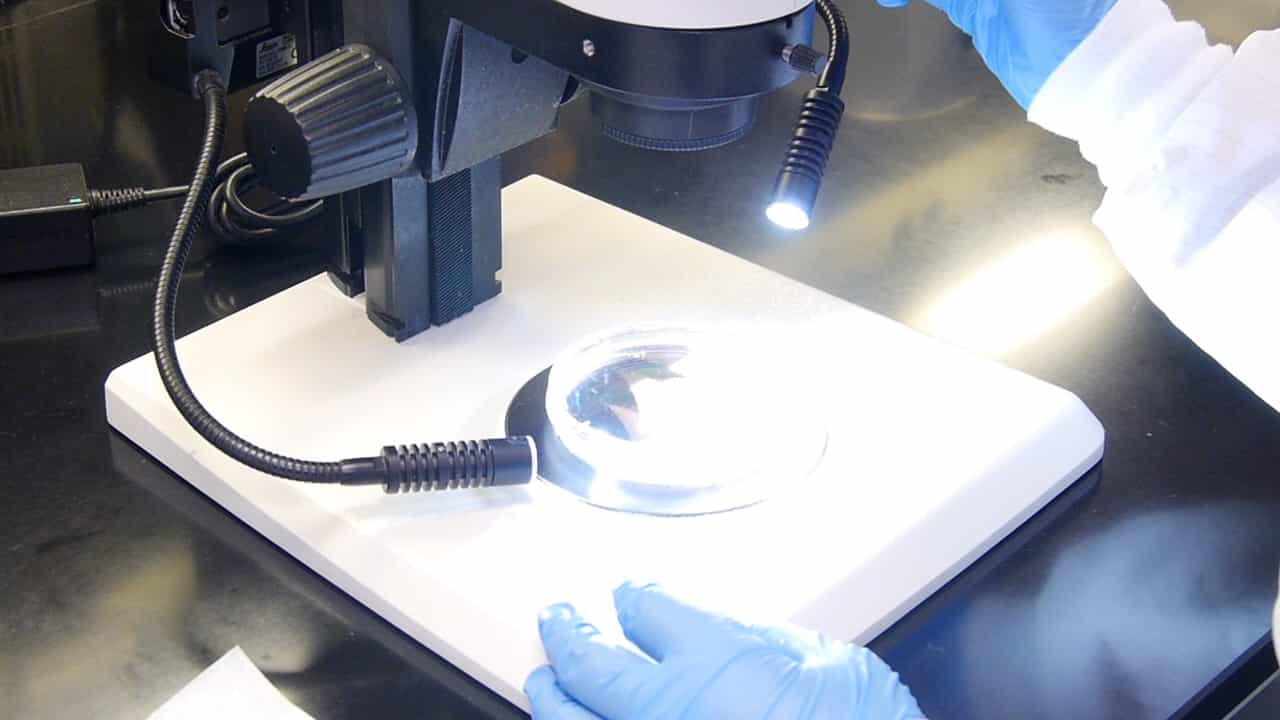 Author Spotlight: Understanding Dynamic Cellular Behaviors in Adult Mouse Dental Tissue Renewal and Repairment