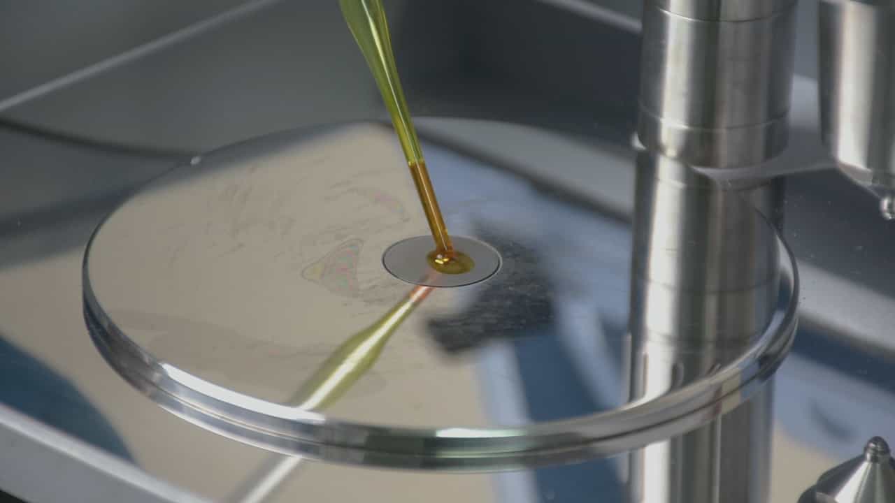 Author Spotlight: Eco-friendly Photoluminescent Textile Authentication with Curcumin