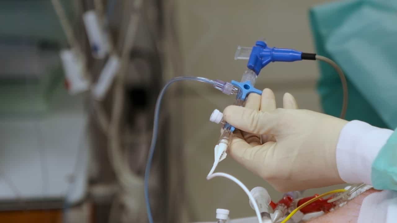 Author Spotlight: Induction of Experimental Endotoxemic Shock in Pigs for Studying Hemodynamic and Respiratory Failure