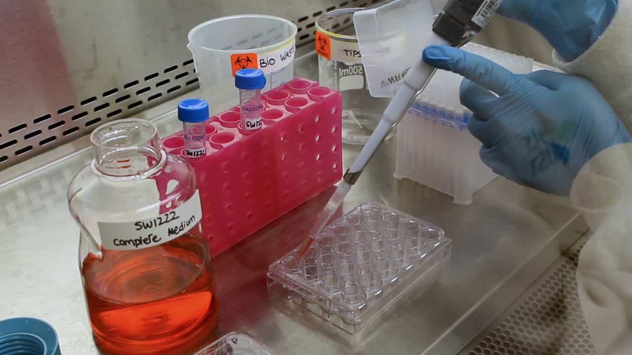 Author Spotlight: Optimization of Ultrashort Peptide Matrices for Colorectal Cancer Organoids