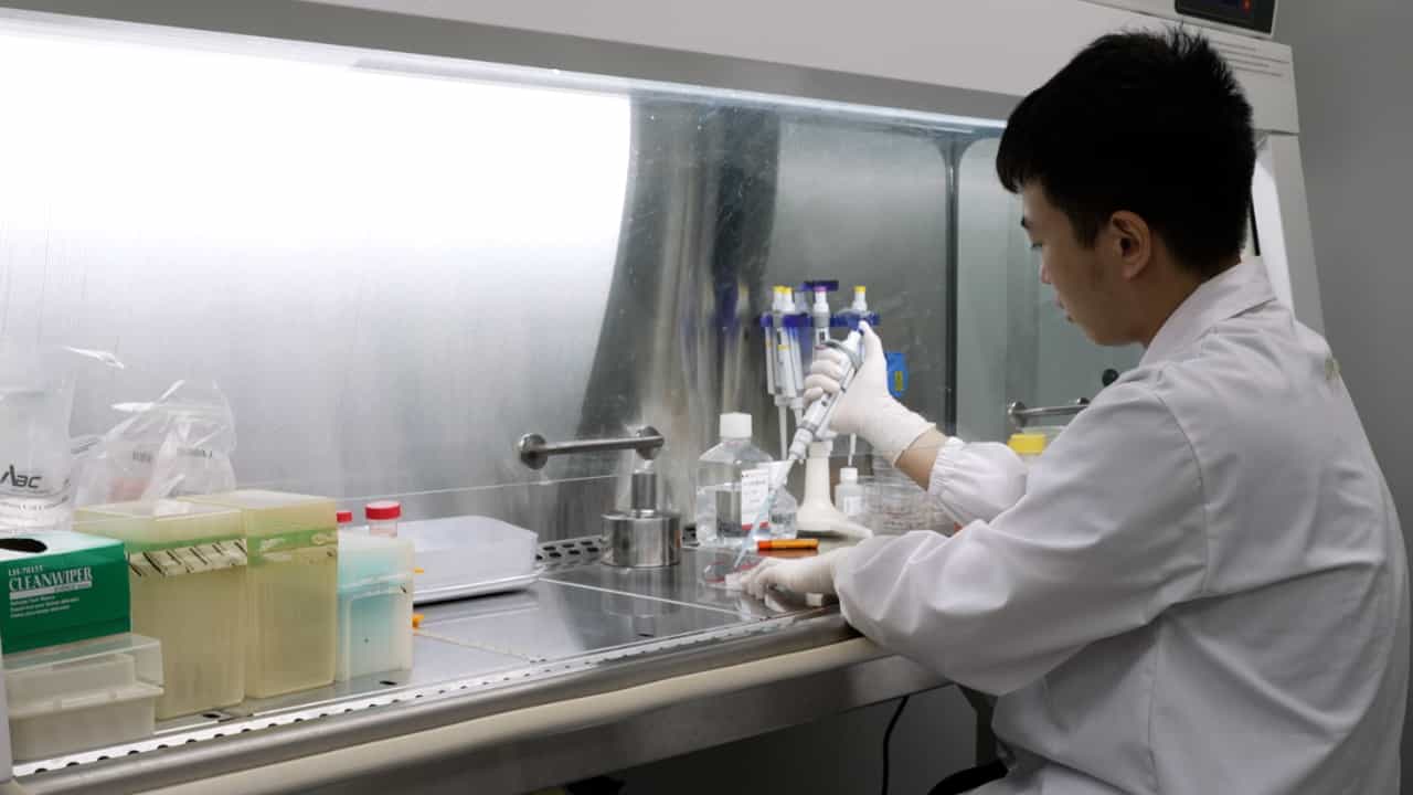 Author Spotlight: Development of a Scaffold-Free Acoustic Assembly Method for High-Quality 3D Cell Spheroid Culture