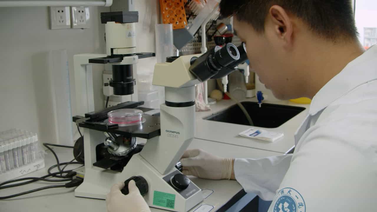 Author Spotlight: Innovative Use of nsPEF to Boost Peripheral Nerve Regeneration