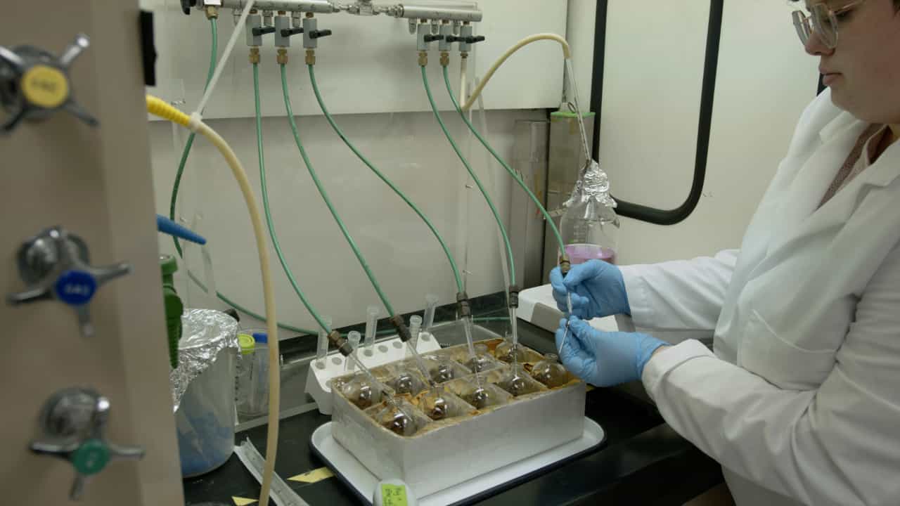 Author Spotlight: Unraveling the Mysteries of Terrestrial Anaerobic Microorganisms in Uncharted Environments by In Situ Culturing