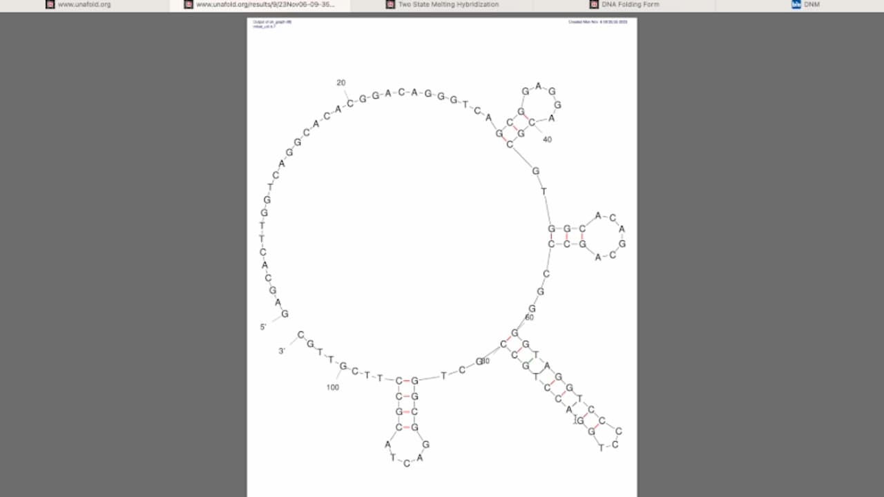 DNAzyme 10-23 - Based Nanomachines for Nucleic Acid Recognition