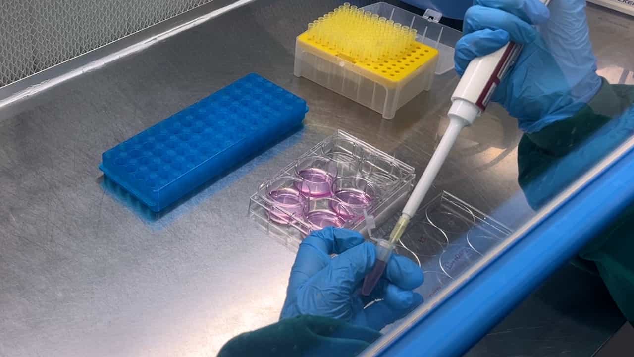 Author Spotlight: Decoding DNA Repair by Extrachromosomal NHEJ Assay and HR Assays