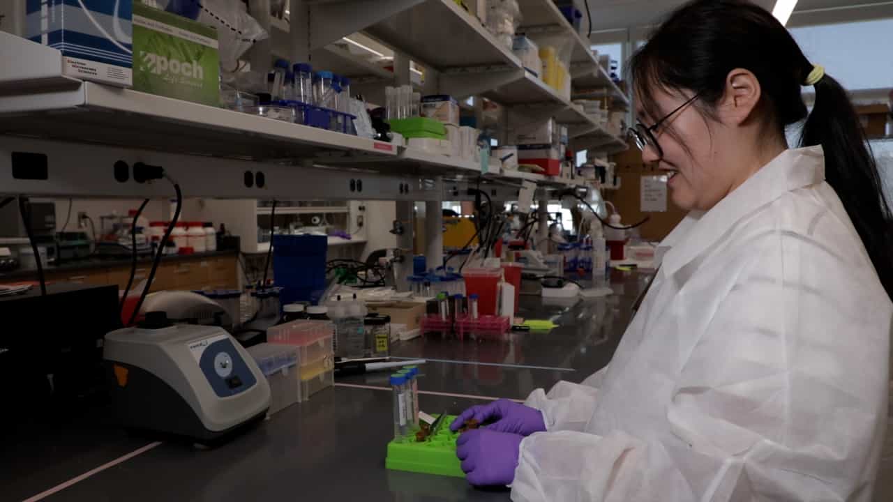 Author Spotlight: Integrated OPTIR-FISH for Single-Cell Metabolic and Identity Analysis in Complex Environments