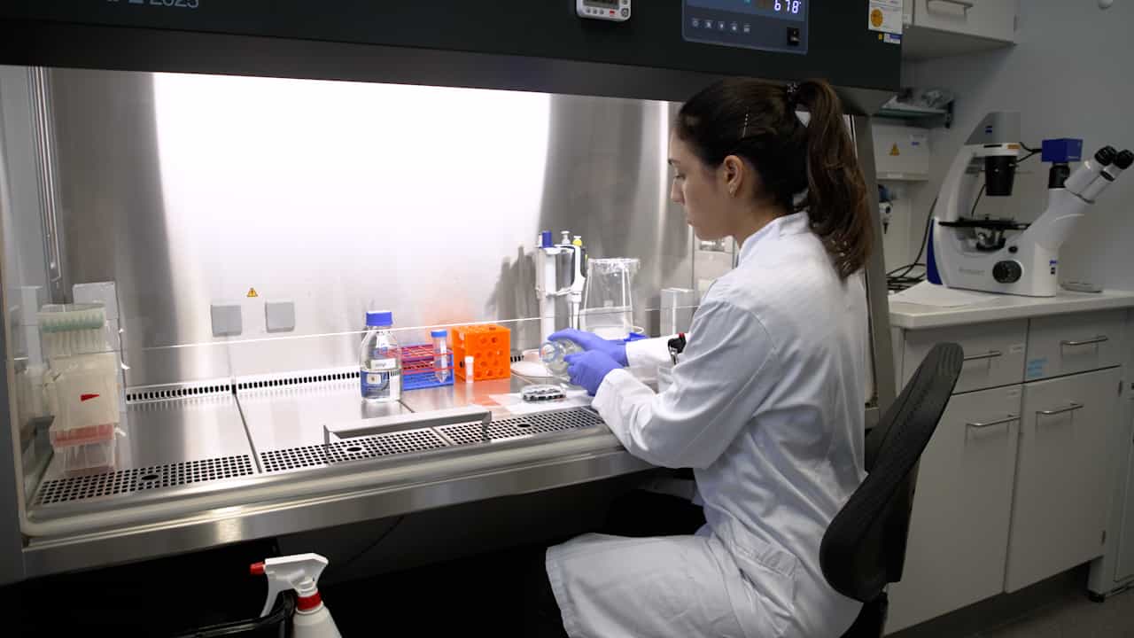 Author Spotlight: Developing a Microfluidic Lung-on-Chip Model for In-Depth Study of Human Immune Response and Infection Mechanisms