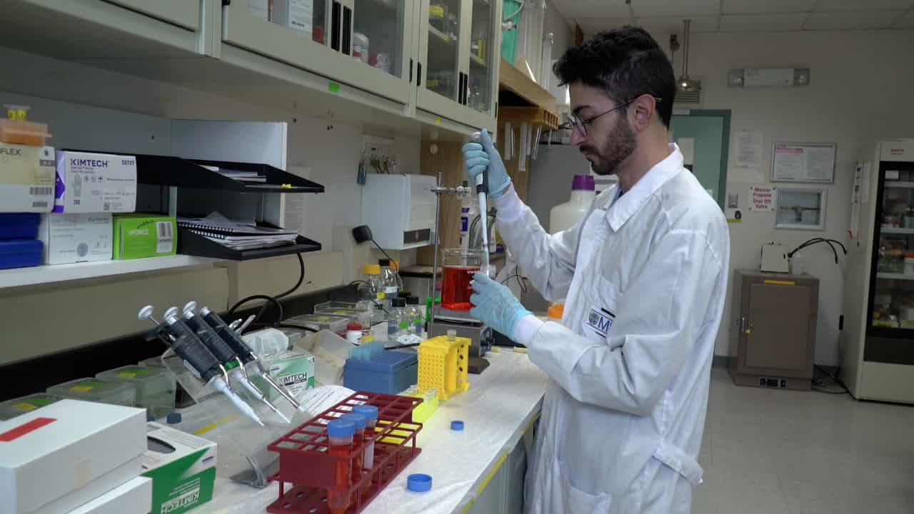 Author Spotlight: Advancing Bone Cell Activity Research with Zebrafish Scales