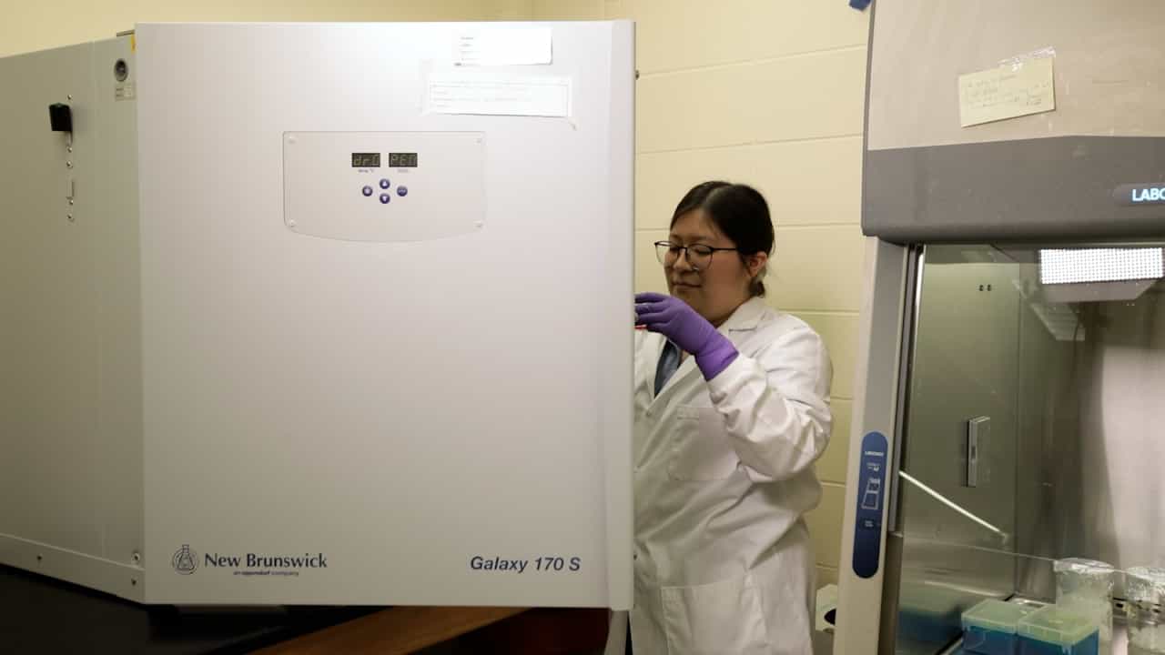Author Spotlight: Validating Cancer Therapy Responses with Desmoplastic Spheroid Models