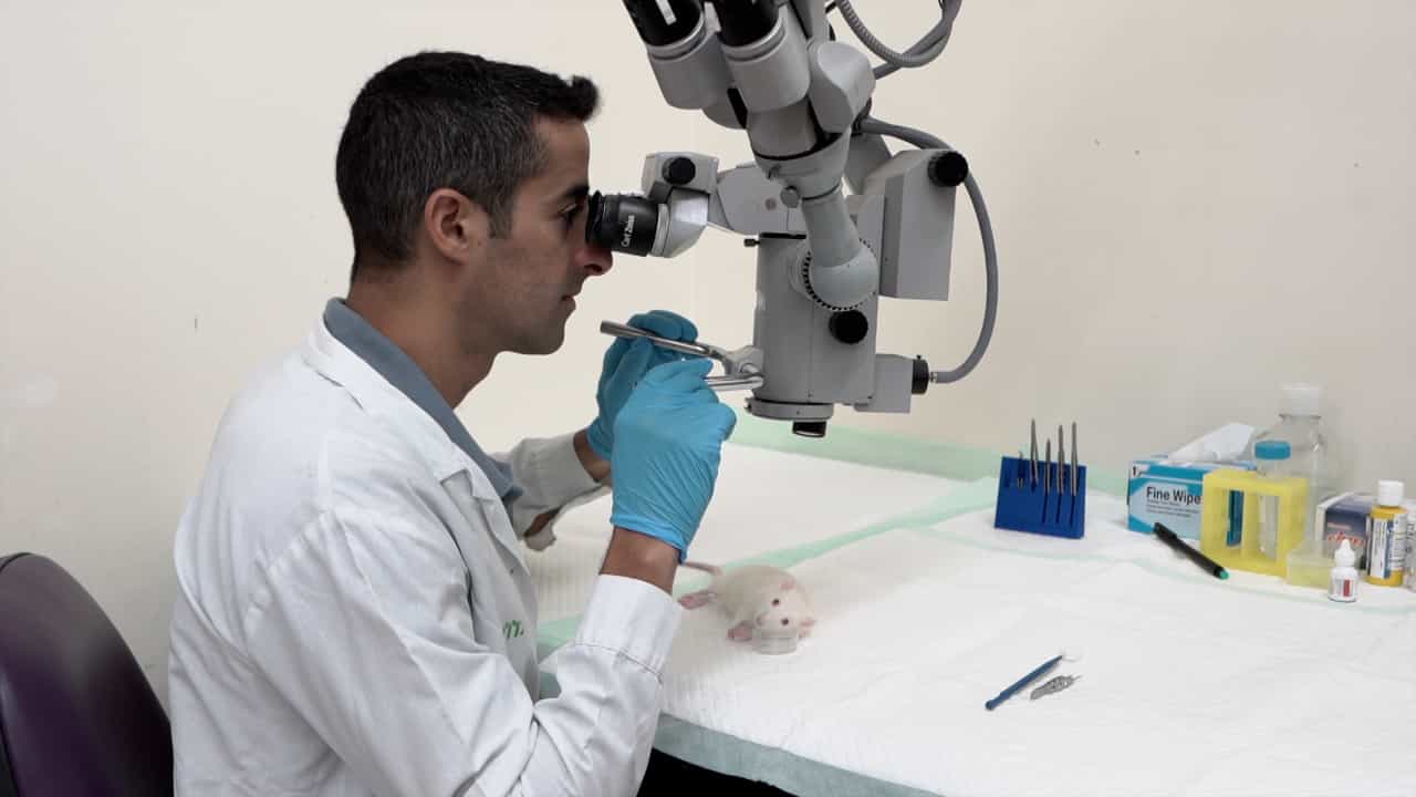 Author Spotlight: A Novel Protocol for Intracameral Injections to Enhance Precision in Rodent Ophthalmology