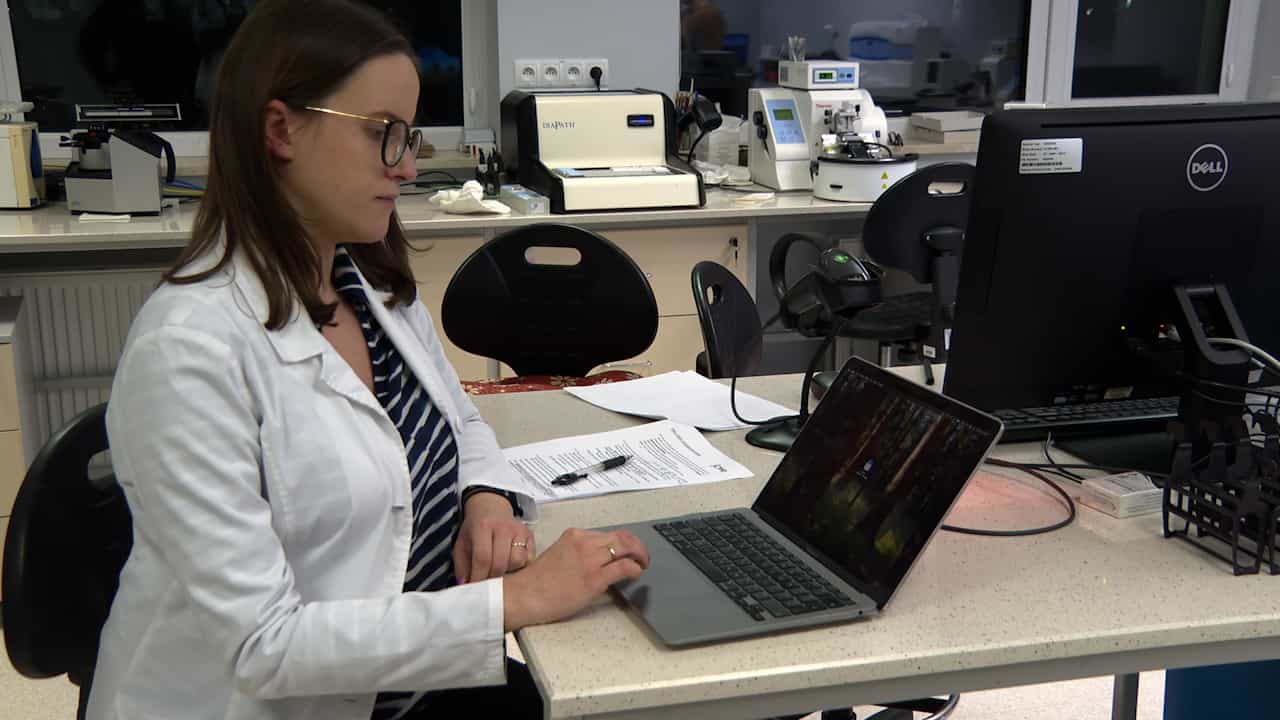 Preparation and Analysis of Histological Slides of Rat and Mouse Eyeballs to Evaluate the Retina