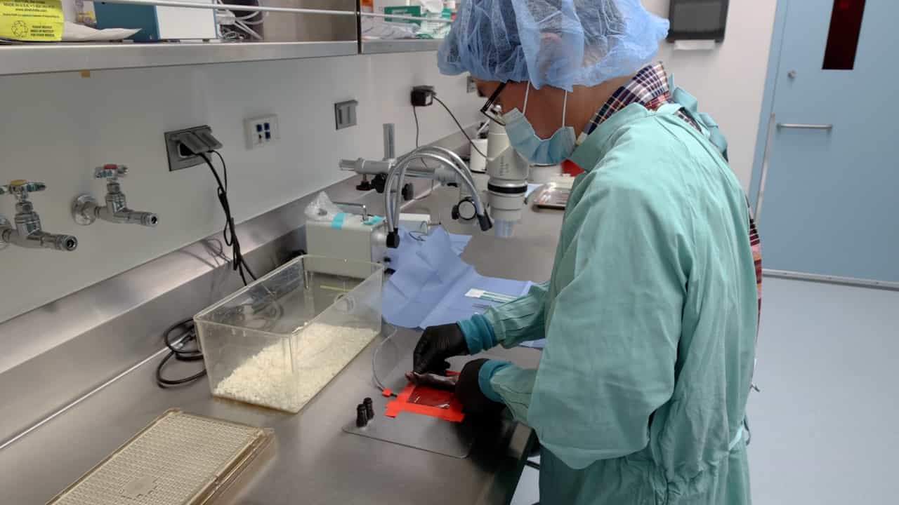 Author Spotlight: Gut Microbiome-Lung Tissue Communication Through Short-Chain Fatty Acid Analysis
