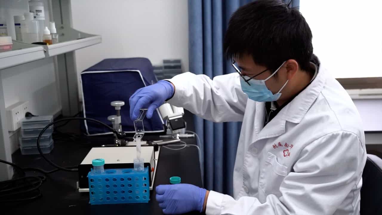 Author Spotlight: Optimizing Embryo Microinjection for Transgenesis in Drosophila