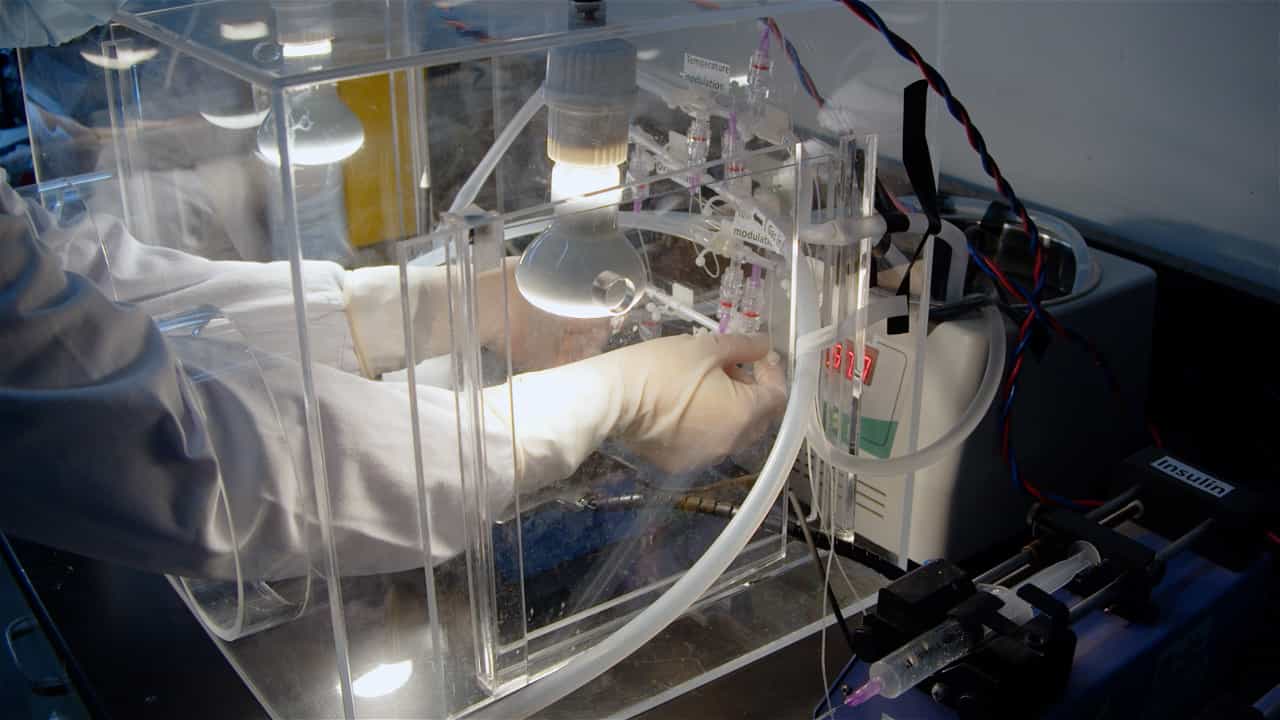 Assessing Insulin Clearance in Mice via In Situ Liver Perfusion