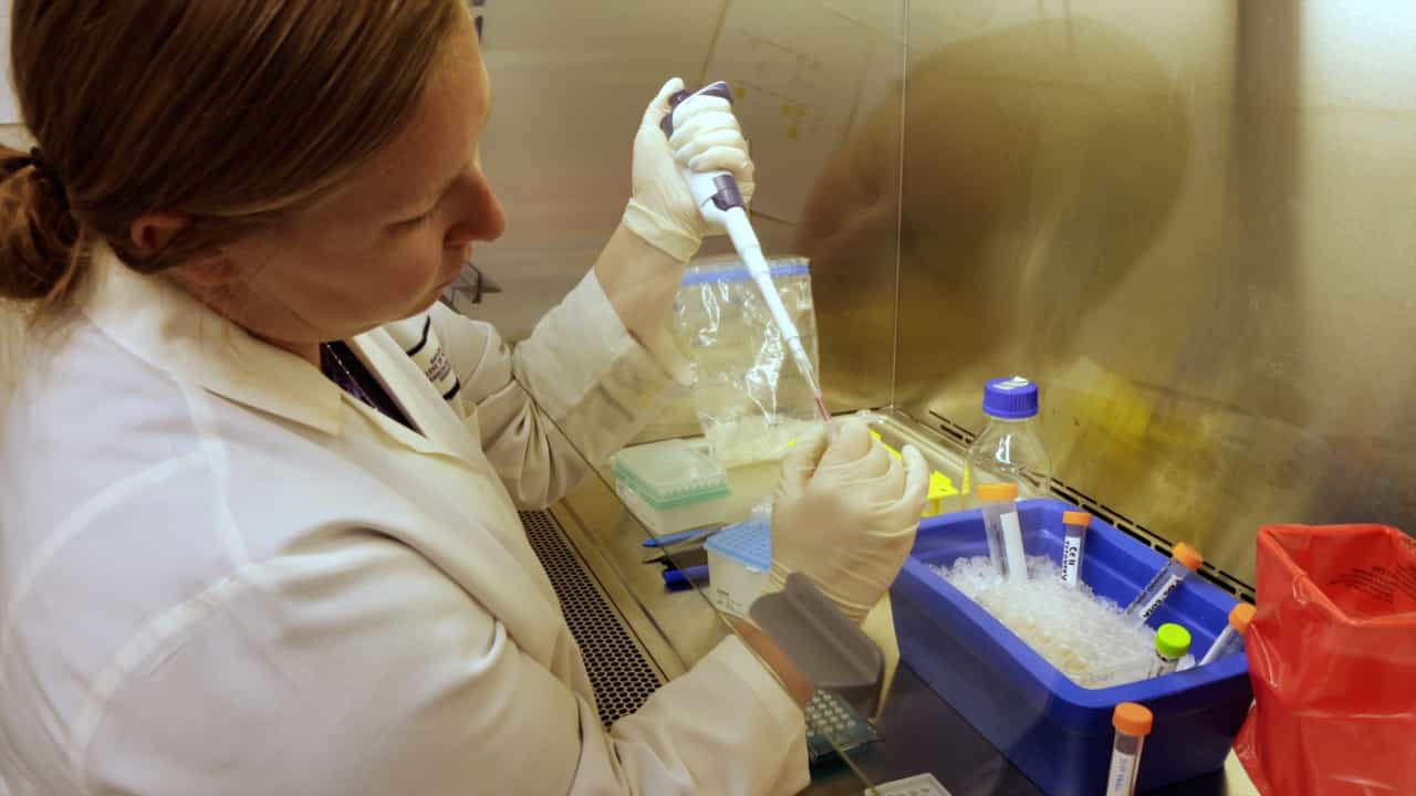 Author Spotlight: Integrating Single-Cell Transcriptomics with Organoid Cultures for Advanced Research and Therapeutic Insights