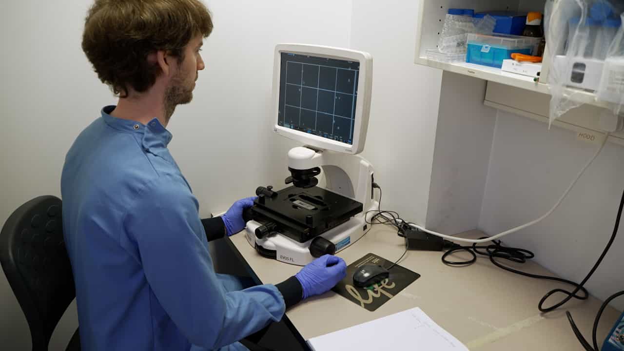 Author Spotlight: Understanding Cytokine-Induced Cell Death in Intestinal Epithelial Cells Using Human Organoids
