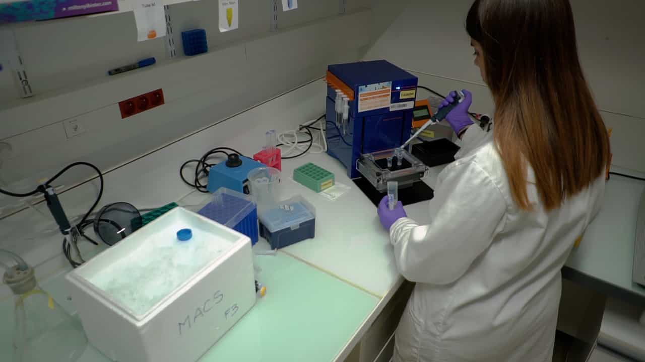 Author Spotlight: Investigating the Impact of Nutrition on Mouse Brain Function and Metabolic Disorders