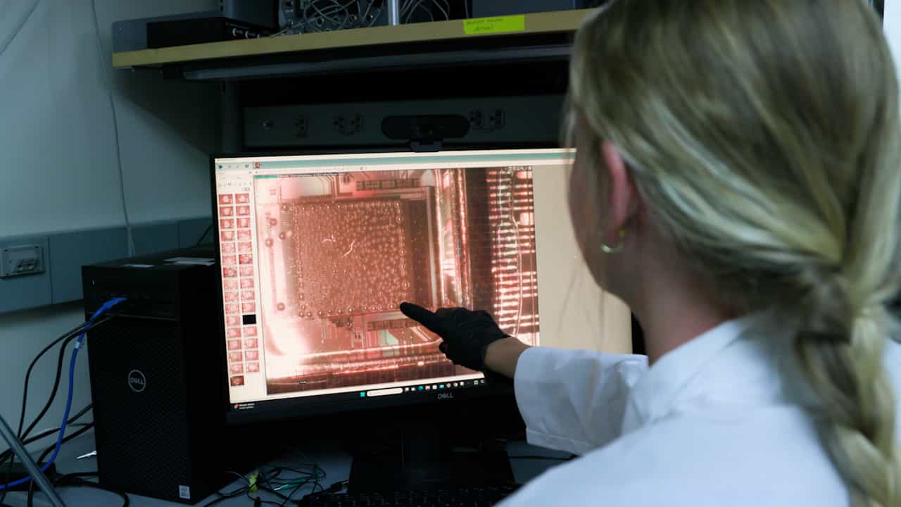 Author Spotlight: Unraveling Seizure Dynamics and Novel Therapeutics for Status Epilepticus Using CMOS High-Density Microelectrode Array Systems