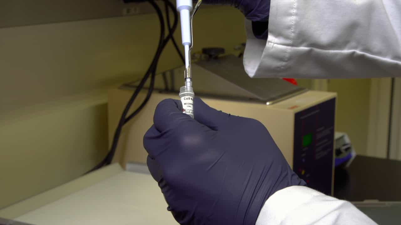 CIRCLE-Seq for Interrogation of Off-Target Gene Editing