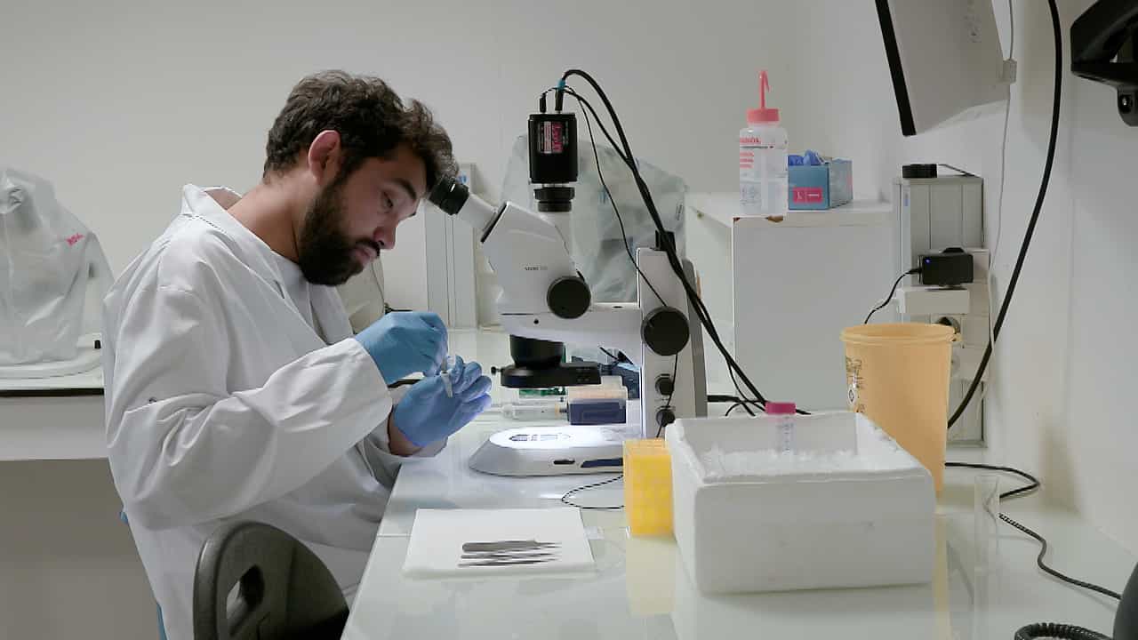 Author Spotlight: Optimizing Mosquito Organ Dissection for Studying Symbionts and Vector Microbiomes
