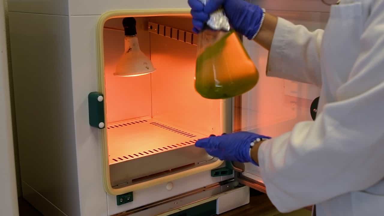 Author Spotlight: Optimizing Growth Factors for Production of Biotechnologically Relevant Secondary Metabolites