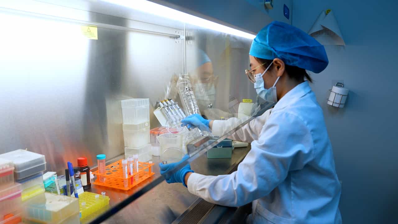 Surgical Transplantation of Tumor Cells into the Spinal Cord of Mice