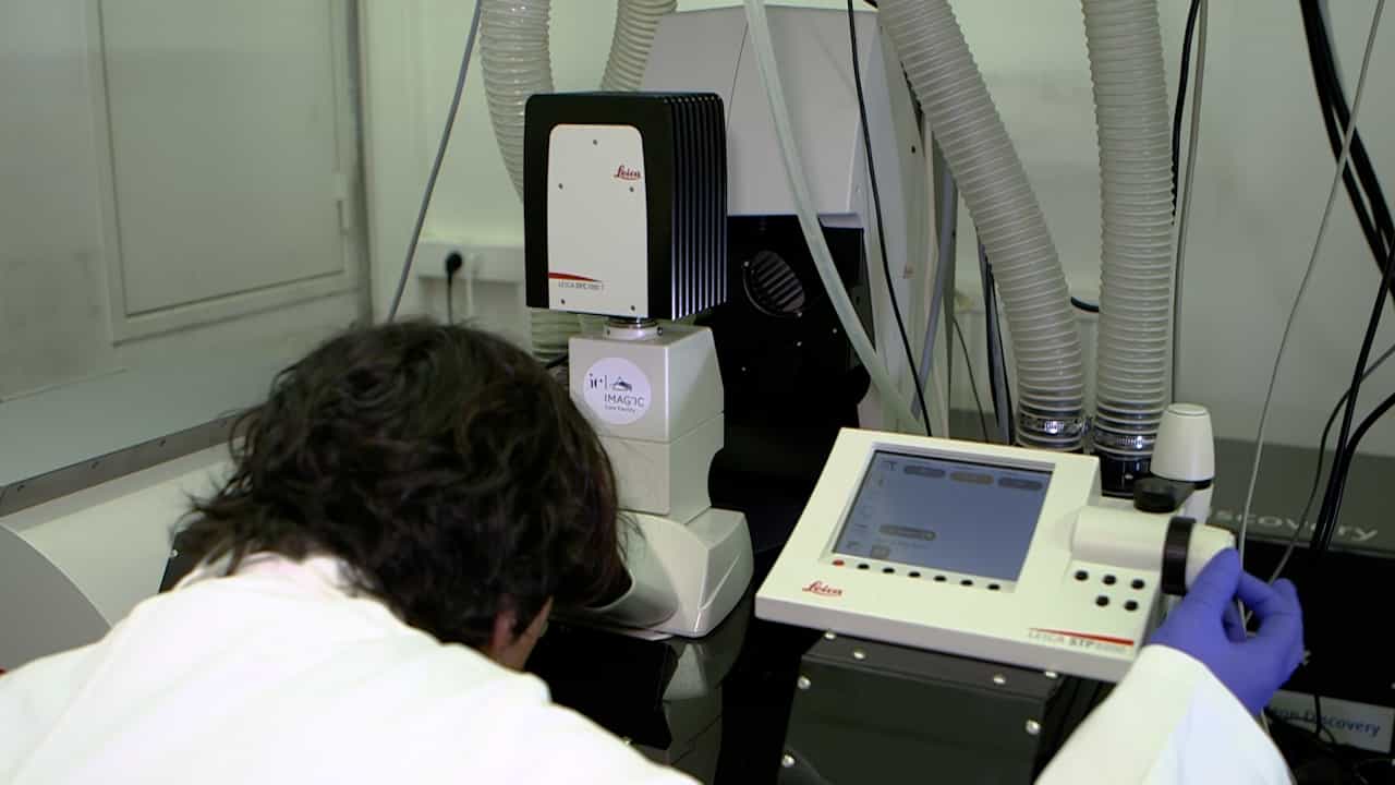 Intravital Longitudinal Imaging of Vascular Dynamics in the Calvarial Bone Marrow