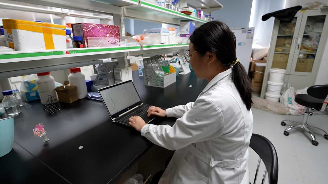 Author Spotlight: Streamlining Rice Breeding with CRISPR/Cas for Obtaining Optimal Phenotypic and Agronomic Traits