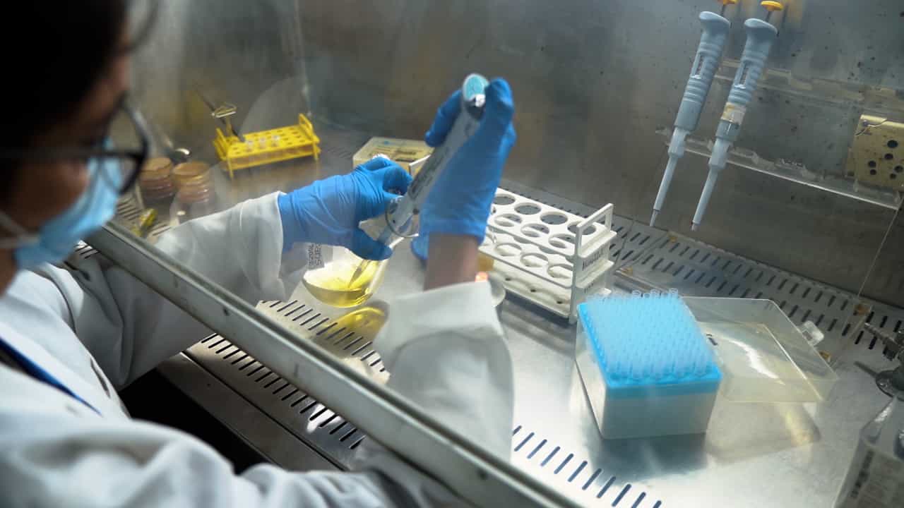 Author Spotlight: Advancing Antimicrobial Resistance Research with Innovative Approaches and Synthetic Compounds