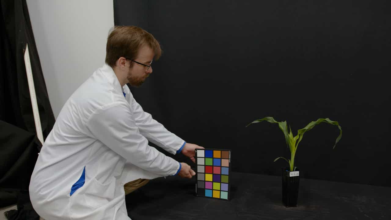 Imaging and Analysis for Quantifying Maize (Zea mays) Abiotic Stress Phenotypes