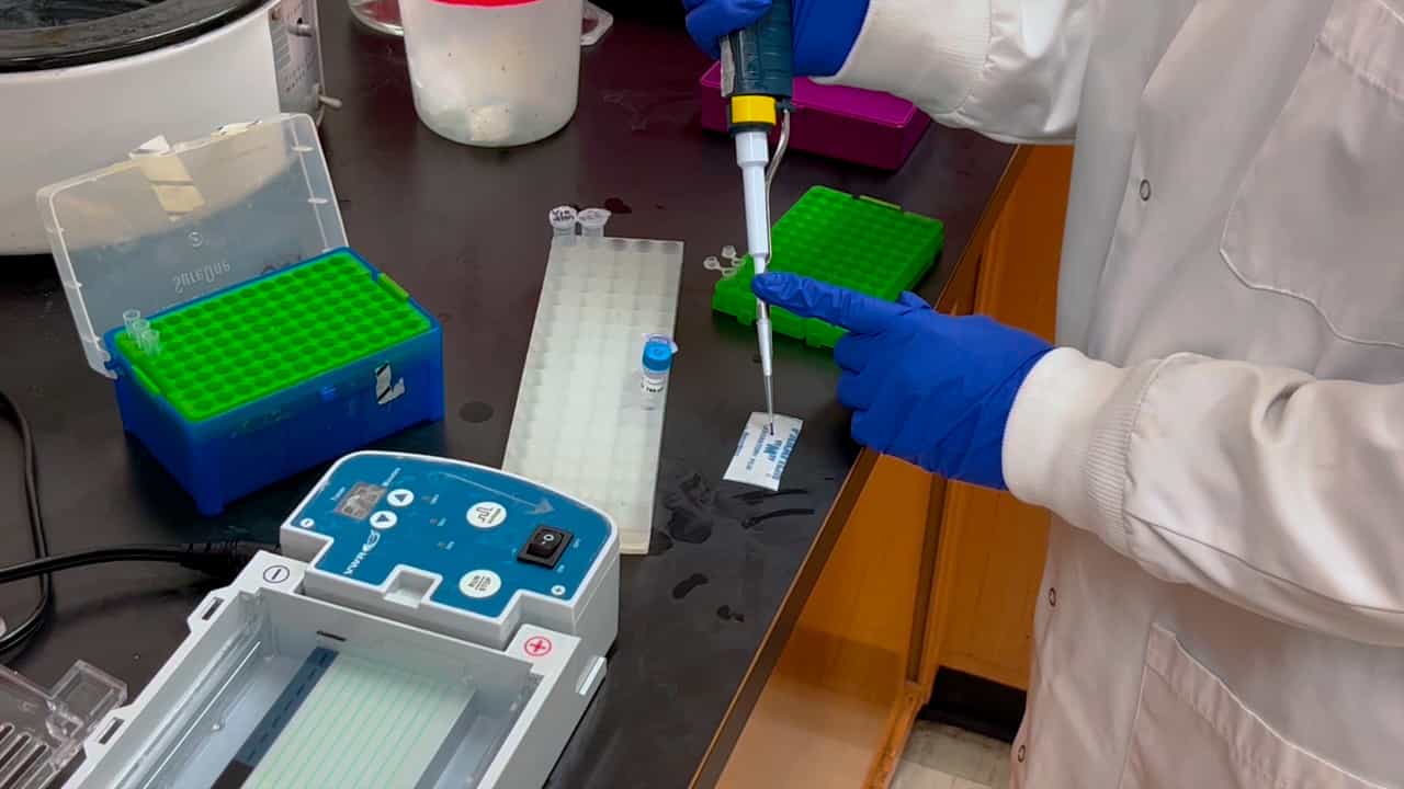 Use of In Vivo Assembly for High-efficiency Plasmid Construction