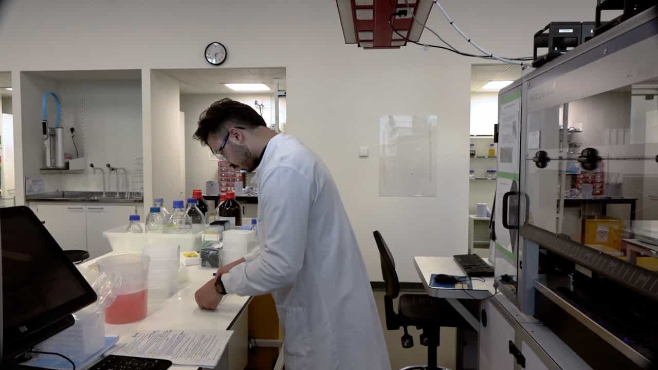 Efficient Sampling of Genetically Encoded Biosensor Design Space Enabled with a Design of Experiments and Automation Workflow