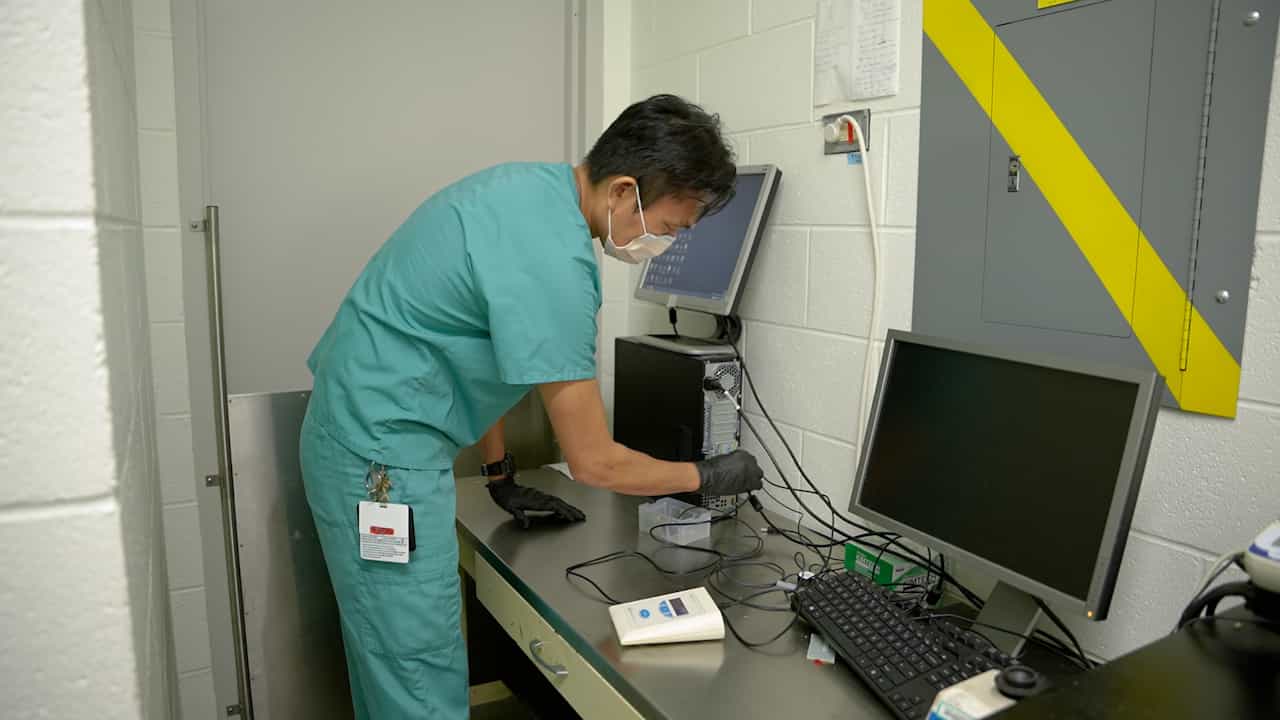 Assessment of Knee Hyperalgesia in Mice using Pressure Application Measurement