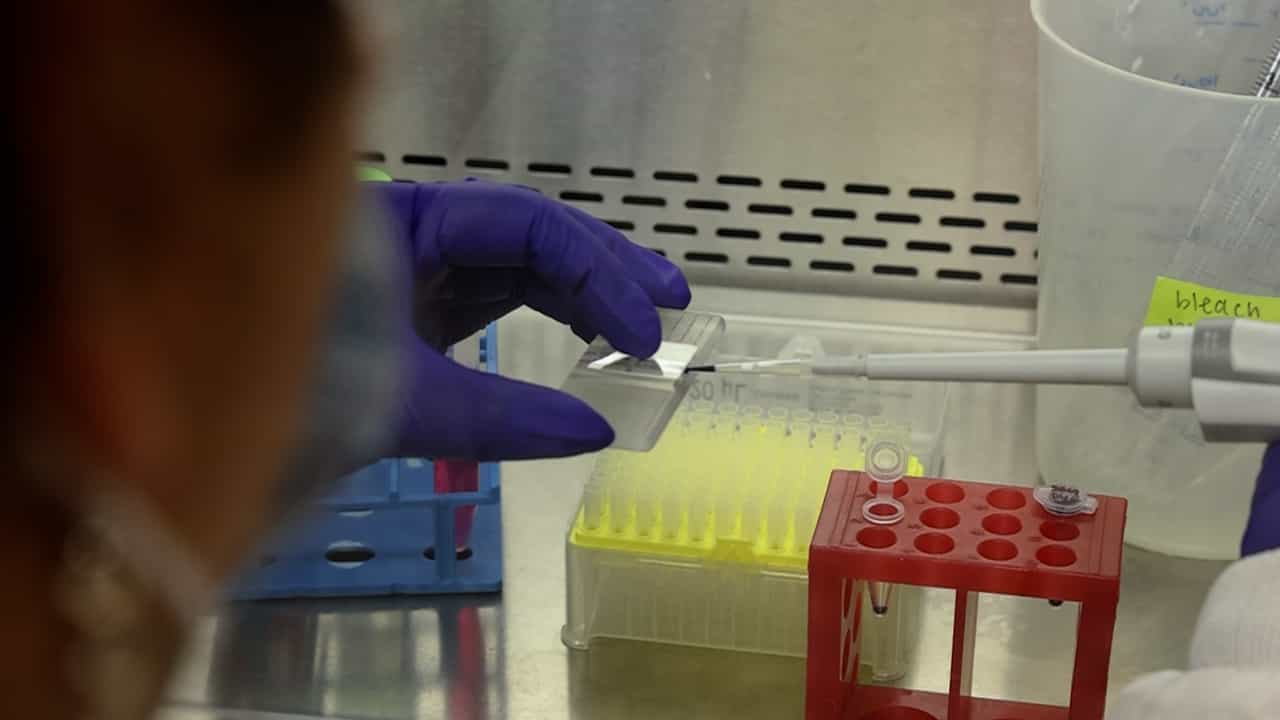 Rapid Optimization of a Light-Inducible System to Control Mammalian Gene Expression