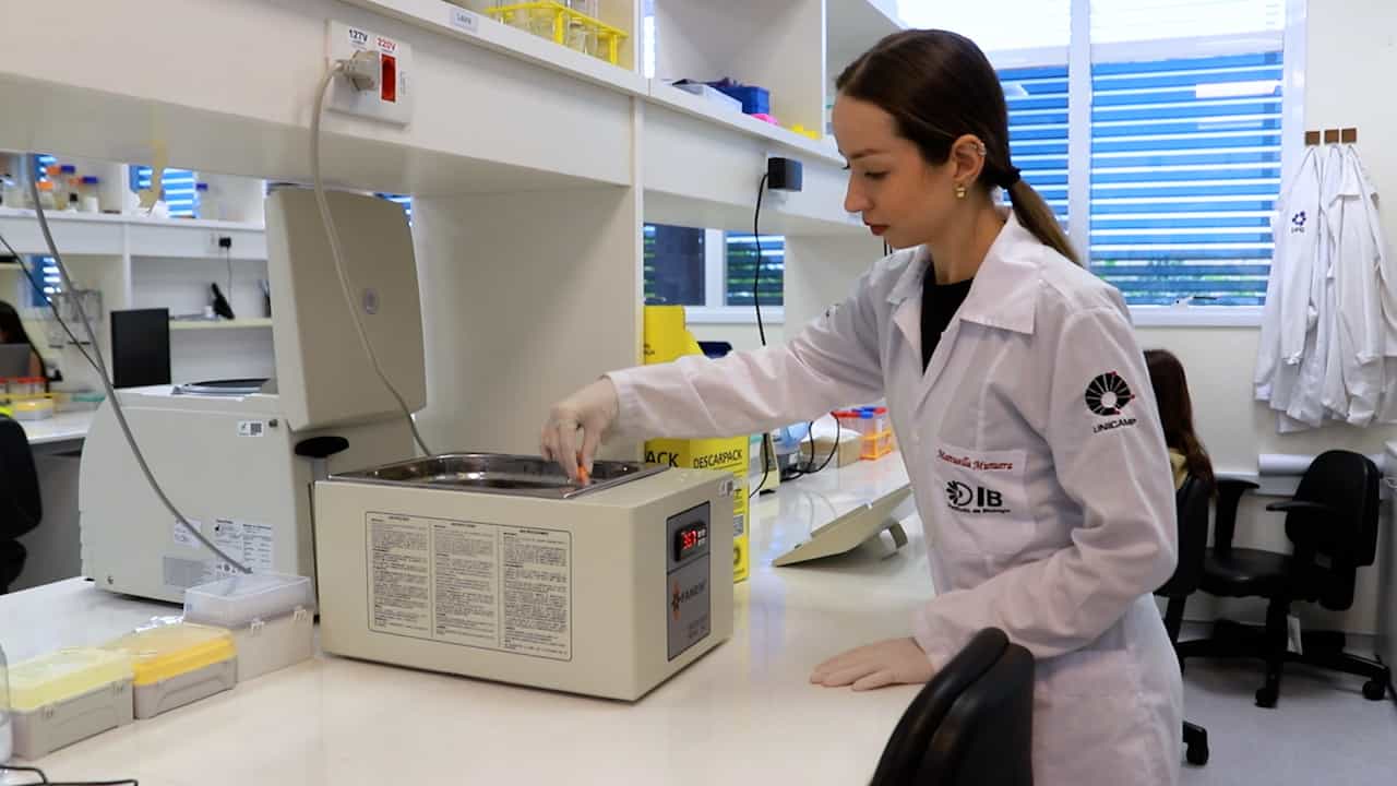 Murine Model of Leukemia Relapse to Induction Chemotherapy for Acute Lymphoblastic Leukemia