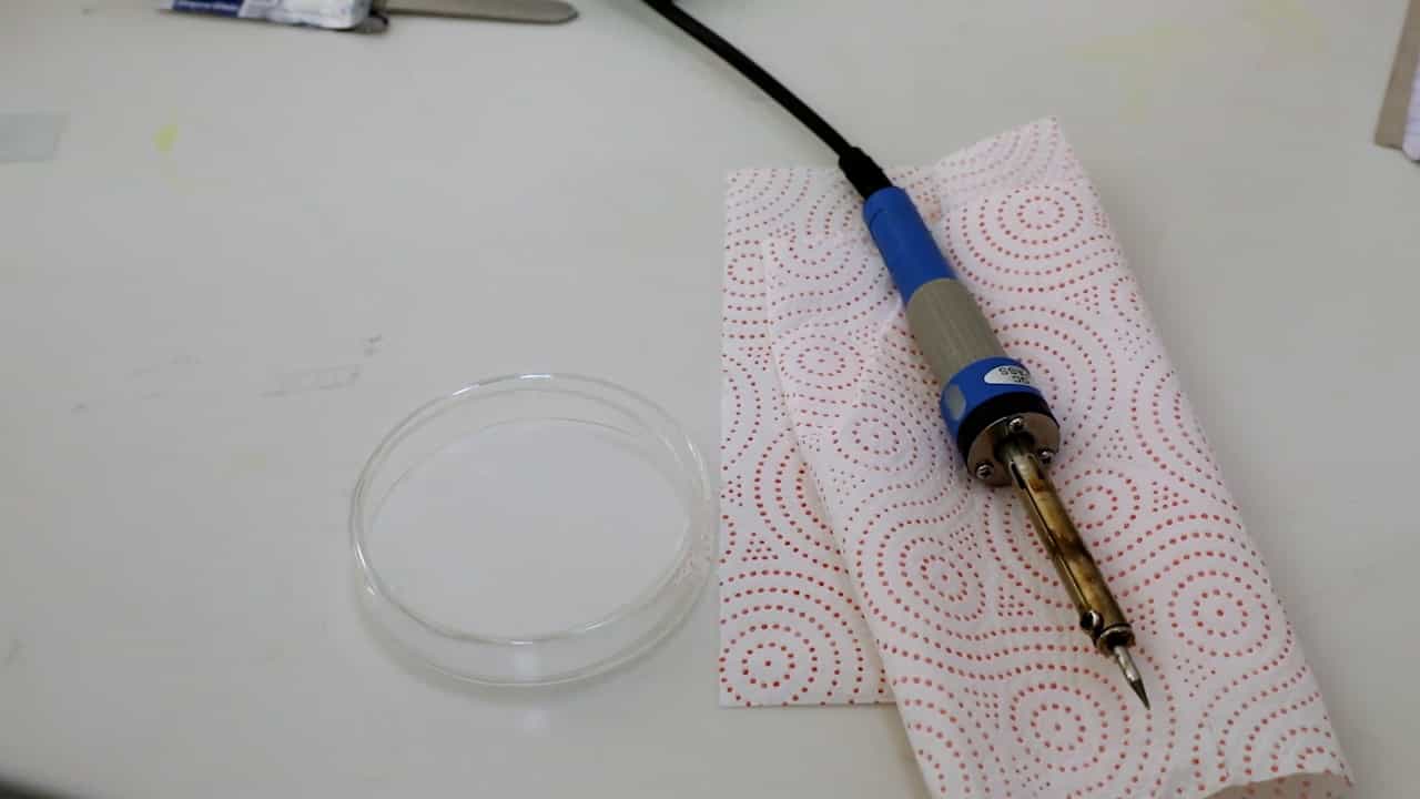 Extraction of Saliva, Haemolymph, Salivary Glands, and Midgut from Individual Ticks (Acari: Ixodidae)