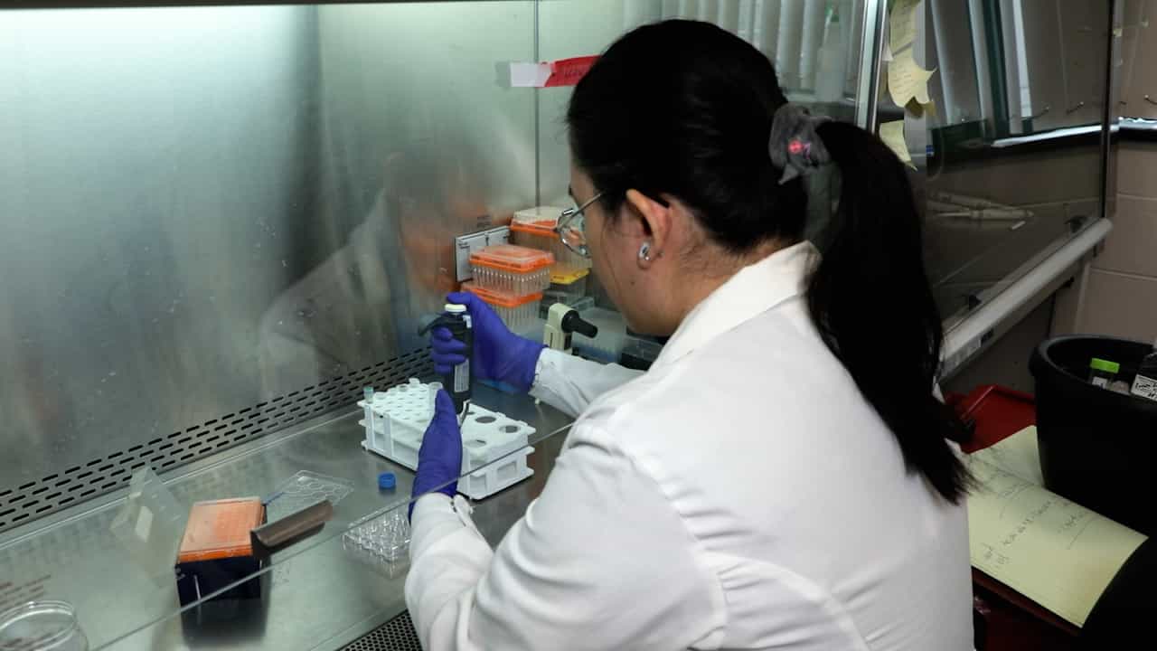 In Vitro Resident Memory CD8 T Cell Differentiation Using Epithelial Organoid-T Cell Co-culture System