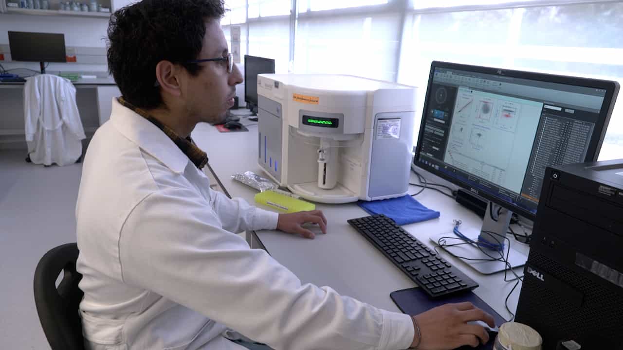 Rapid Magnetic-microbead Method for Efficient Purification of Low-density Neutrophils