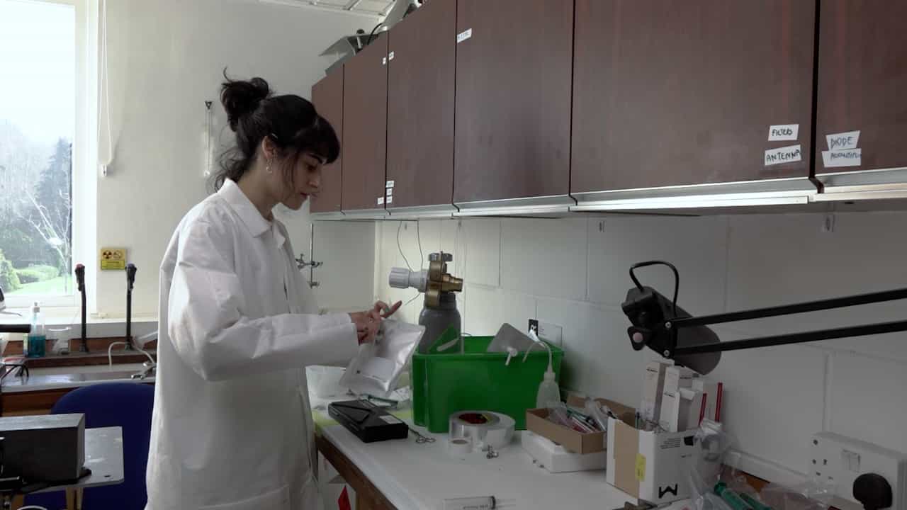 Validation of Hyperbaric Pressure System with Xenon Anesthesia for Drosophila melanogaster