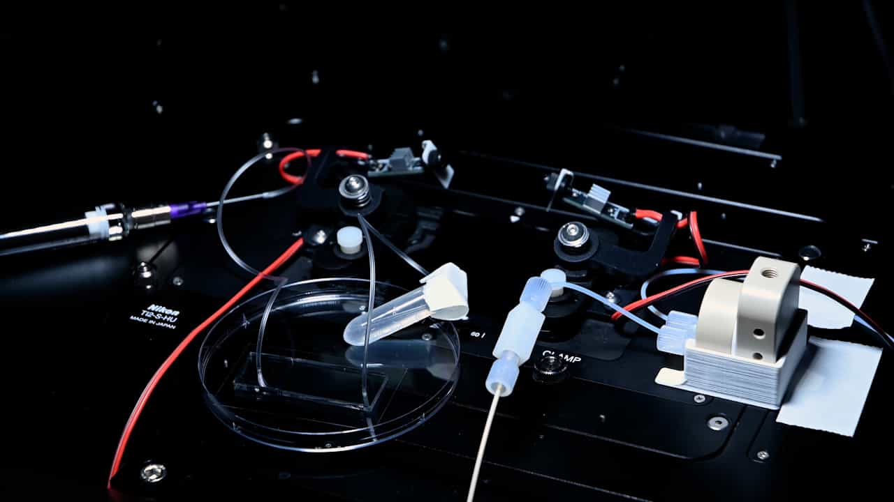 A Microfluidic Platform to Investigate Microbial Precipitation of Metal Oxides in Porous Media