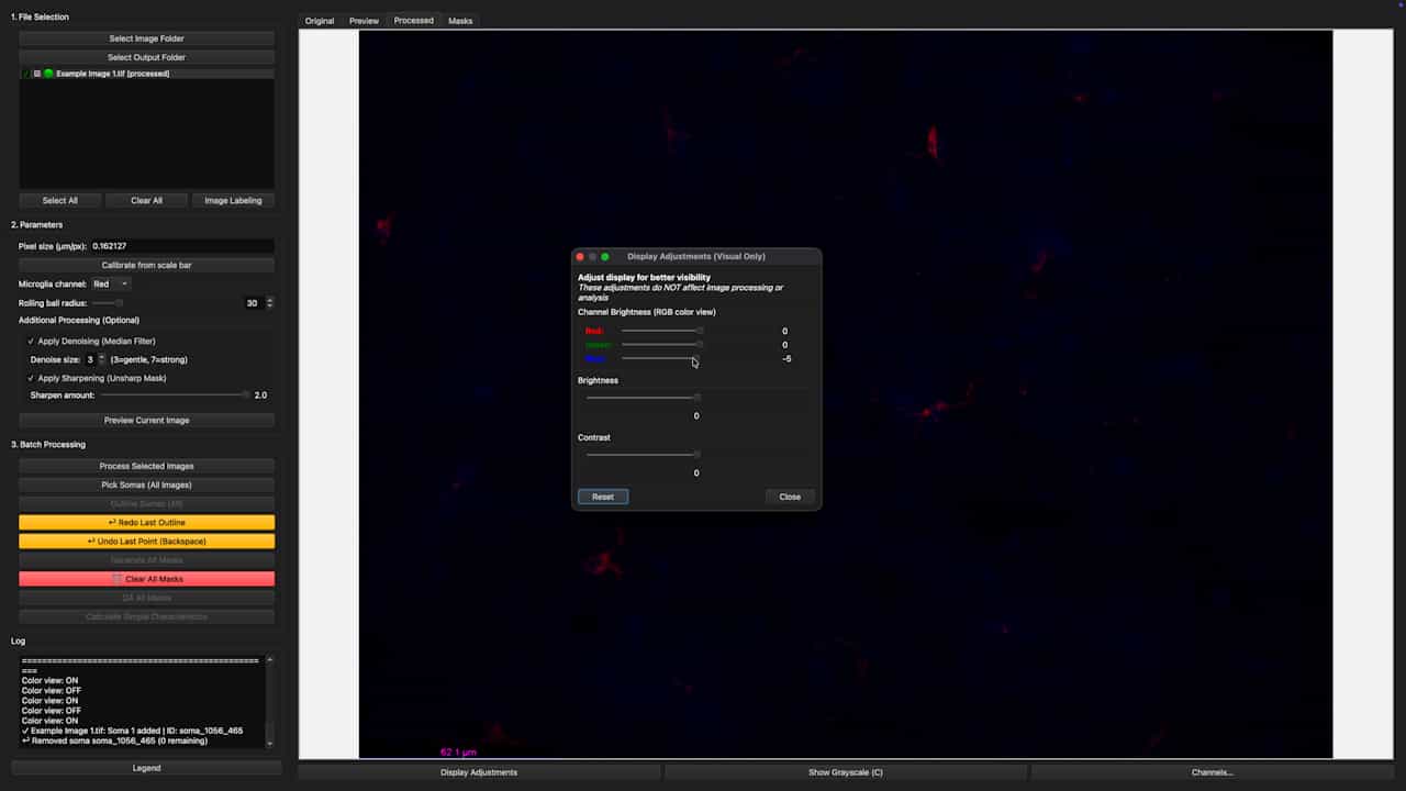 Mapping Microglial Parameters Software (MMPS): An Open-Source, User-Friendly Tool for Quantitative Microglia Morphology Analysis